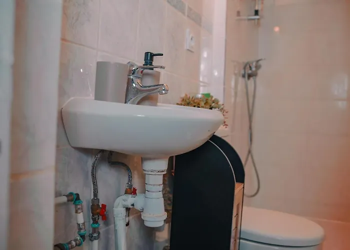 Le Petit Cocon Appartement *